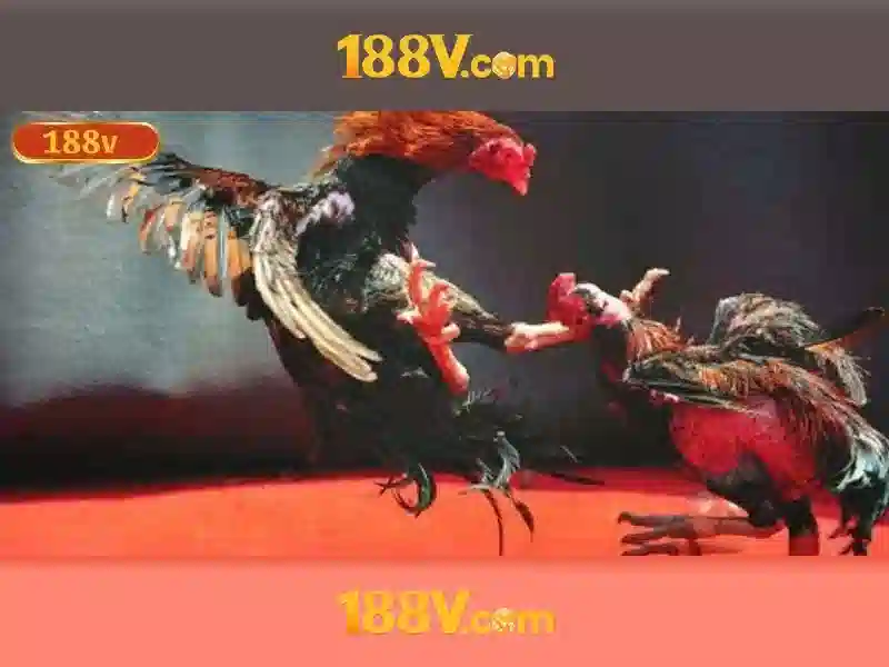 Nguồn gốc và ý nghĩa của 188v\n