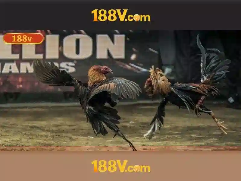 Tổng quan chủ đề và giá trị cốt lõi\n\n Tổng quan chủ đề và giá trị cốt lõi\n\n