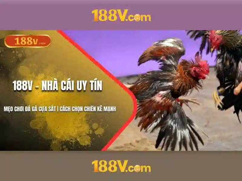 188v tải app: Trải nghiệm và giá trị cốt lõi