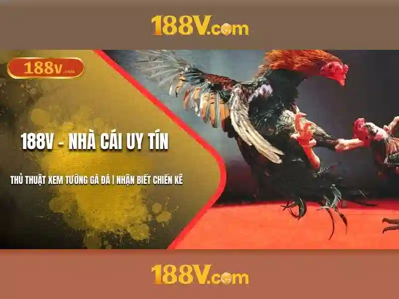 Nguồn gốc của 188v\n Nguồn gốc của 188v\n