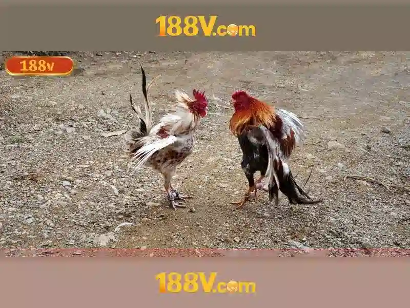 Ứng dụng của 188v