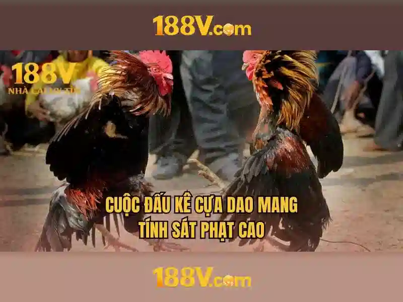 188v: Dấu hiệu và ý nghĩa