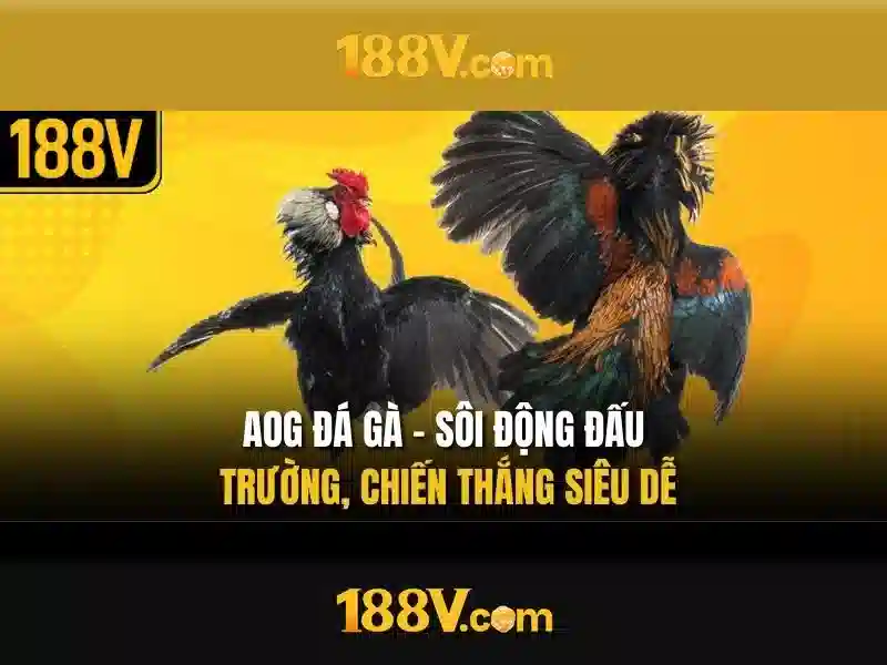 Mẹo chơi bắn cá 3 cây dễ ăn tiền nhà cái