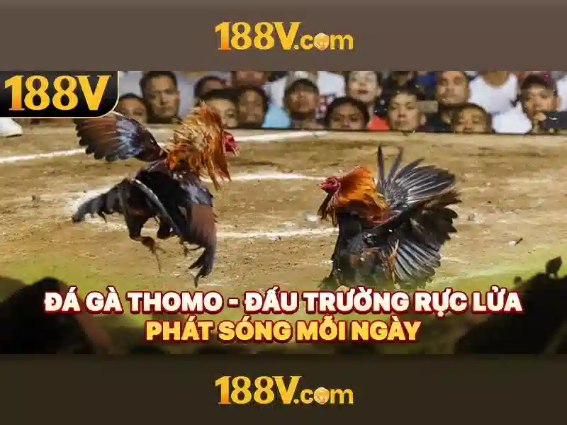 188V: Điện áp và tương lai của nguồn năng lượng