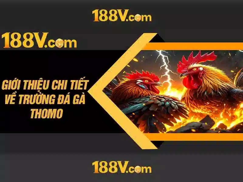 Những mảng màu và không gian Những mảng màu và không gian