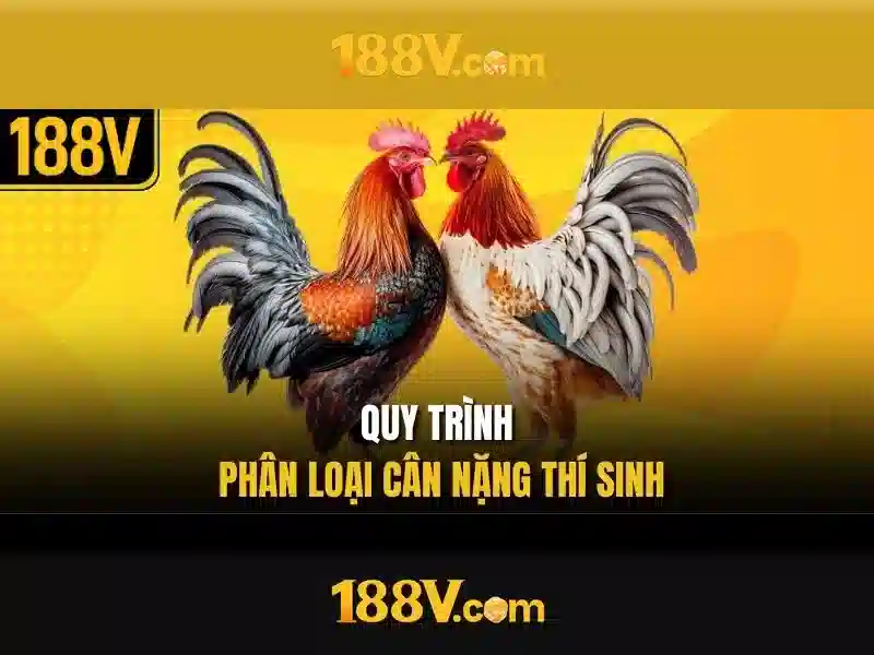 Kiến trúc và công nghệ đằng sau 188v Kiến trúc và công nghệ đằng sau 188v