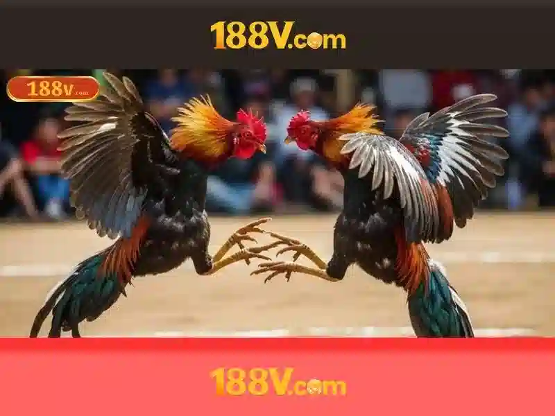 Nguồn gốc từ khóa và sứ mệnh của 188v papagaiofllores.ru.com Nguồn gốc từ khóa và sứ mệnh của 188v papagaiofllores.ru.com