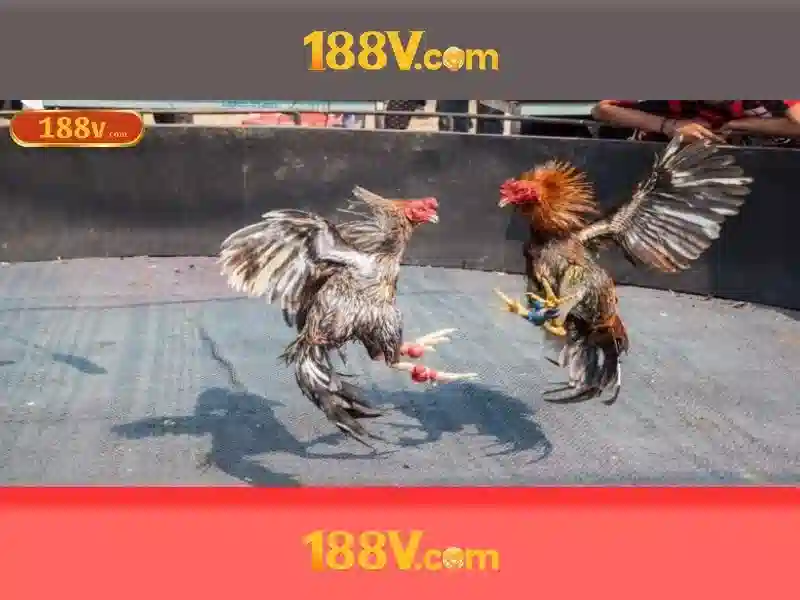 Khám phá 188v: điện áp và đời sống hiện đại