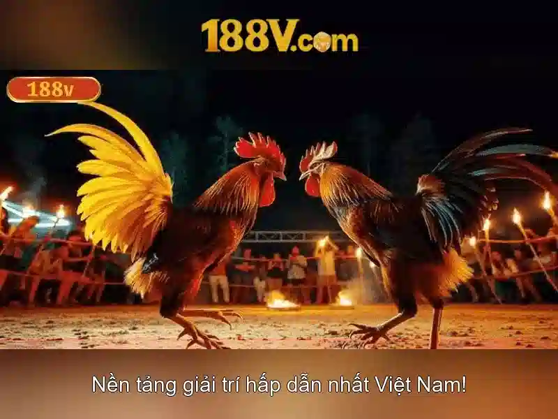 Khám phá 188V: công nghệ và tiềm năng