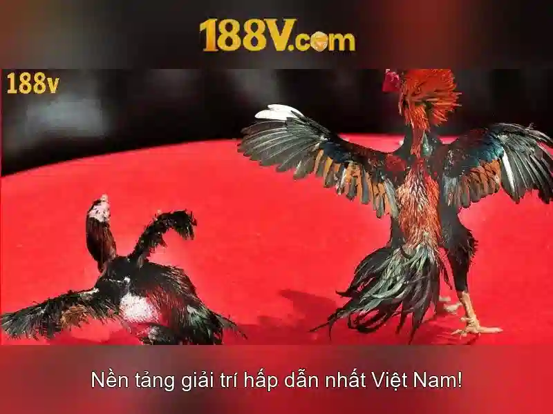 Ứng dụng và tác động của 188v\n Ứng dụng và tác động của 188v\n
