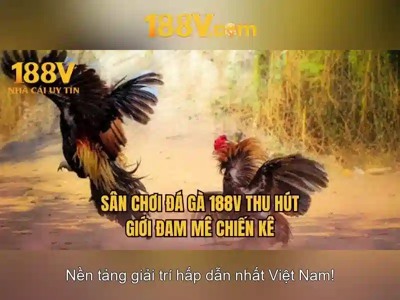 Tuong lai cua 188v Tuong lai cua 188v