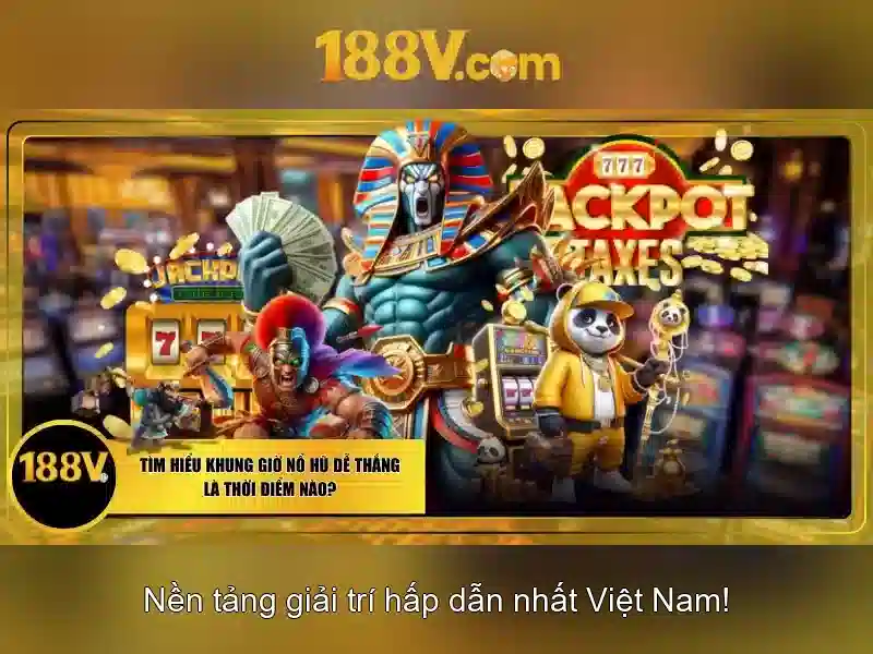 188v papagaiofllores.ru.com – Trải nghiệm đột phá