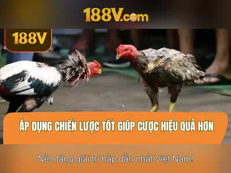 Ứng dụng và an toàn\n
