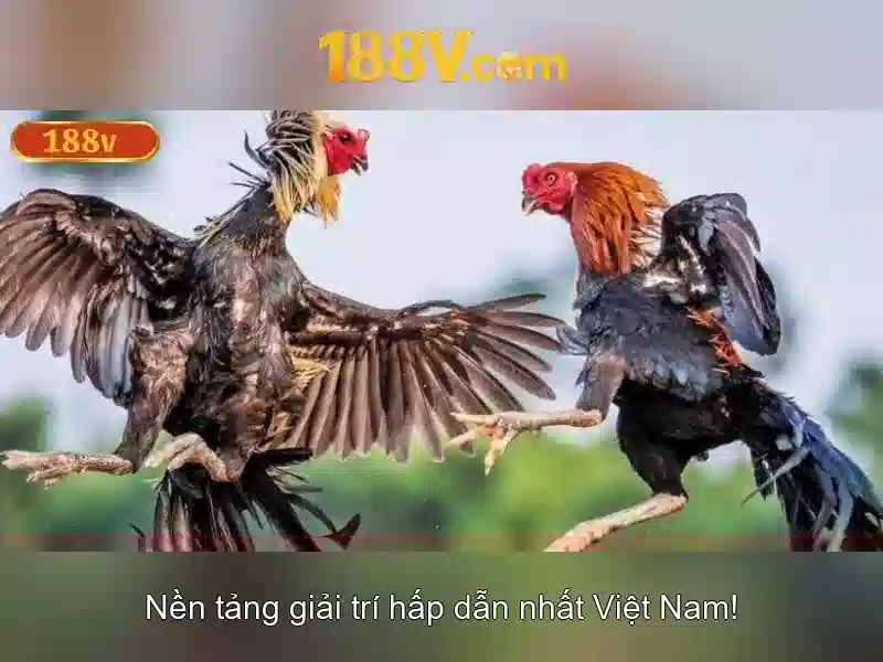 Khía cạnh kỹ thuật của 188v\n\n
