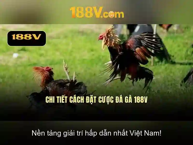 Thiết kế và tương tác