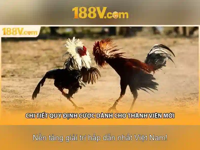 Những yếu tố cốt lõi của 188v