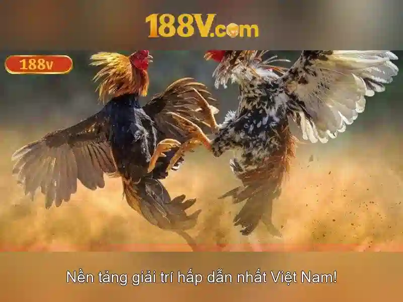 188v: Khái niệm và hành trình của một thế giới số