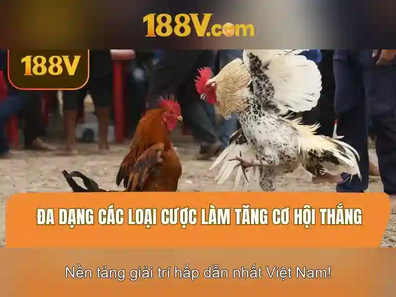 Nguồn gốc và ý nghĩa