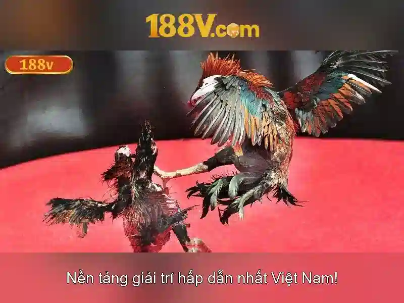 Nguồn gốc của 188v