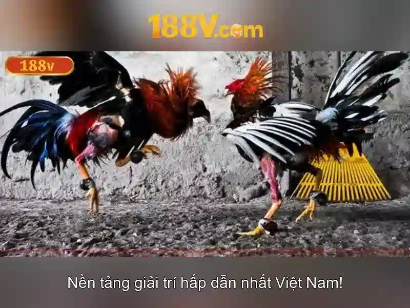 Mẹo chơi bắn cá 3 cây dễ ăn tiền nhà cái
